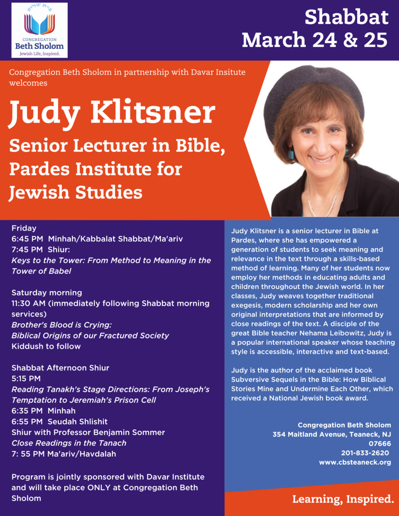 Banner Image for Shabbat of Learning with Judy Klitsner