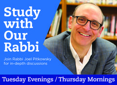 Banner Image for Learning with Rabbi Pitkowsky